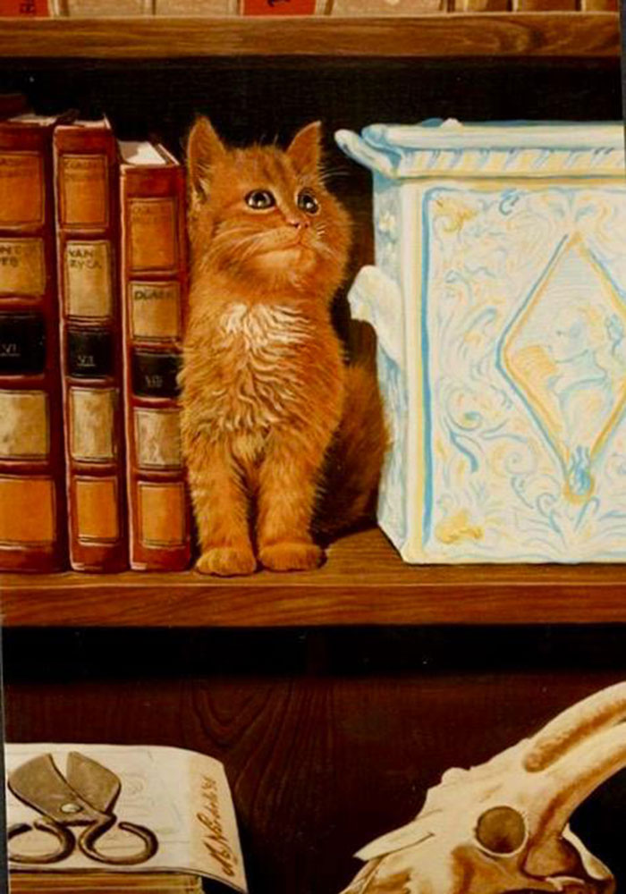 michele-nardiello-crea-trompe-oeil